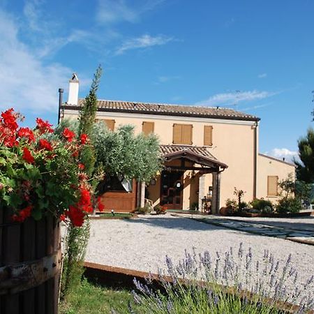 Briciola Di Sole Guest House Grottammare Bagian luar foto