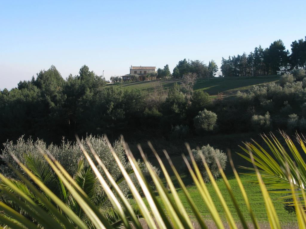 Briciola Di Sole Guest House Grottammare Bagian luar foto